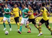 开云体育下载-霍芬海姆主场大胜科隆，豪取宝贵三分的简单介绍