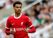 开云体育在线-利物浦球员面临伤病困扰，备战受挫的简单介绍