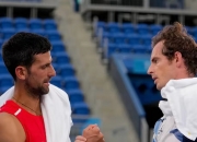 开云官网-世界网球队绝地反击美国网球队，穆雷爆发神勇的简单介绍