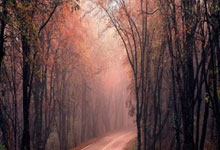 开云APP-瑞典乒乓球队强势中国乒乓球队，许昕惊艳世界