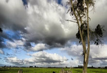 开云体育在线-印尼羽毛球队血洗泰国羽毛球队，谌龙惊艳世界