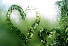 开云APP-瑞典乒乓球队强势中国乒乓球队，许昕惊艳世界