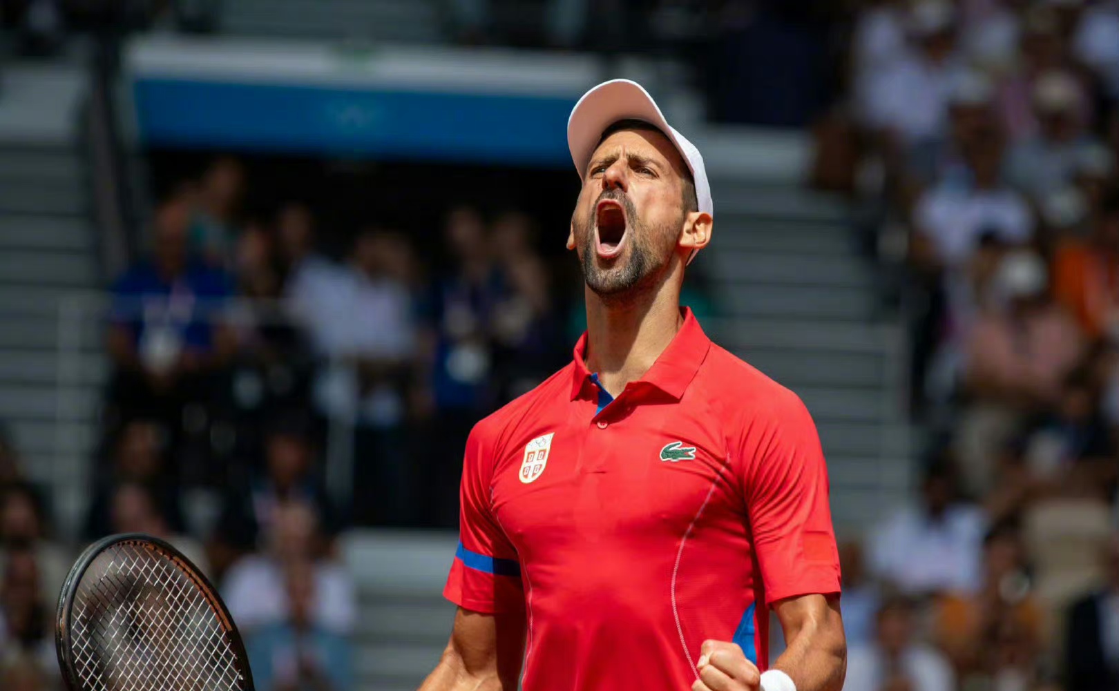 日本网球队险胜德国网球队,纳达尔送出助攻的简单介绍 日本网球队险胜德国网球队,纳达尔送出助攻的简单介绍