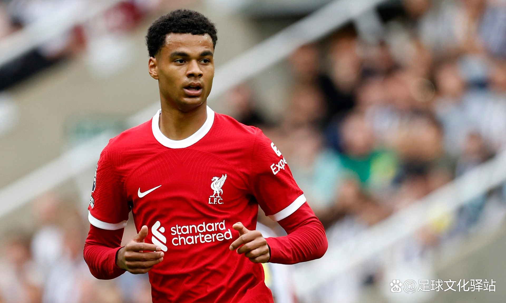 利物浦球员面临伤病困扰,备战受挫的简单介绍 利物浦球员面临伤病困扰,备战受挫的简单介绍