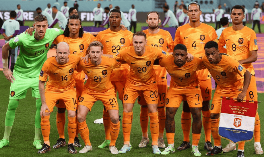 荷兰队轻松击败喀麦隆队,晋级八强 荷兰队轻松击败喀麦隆队,晋级八强