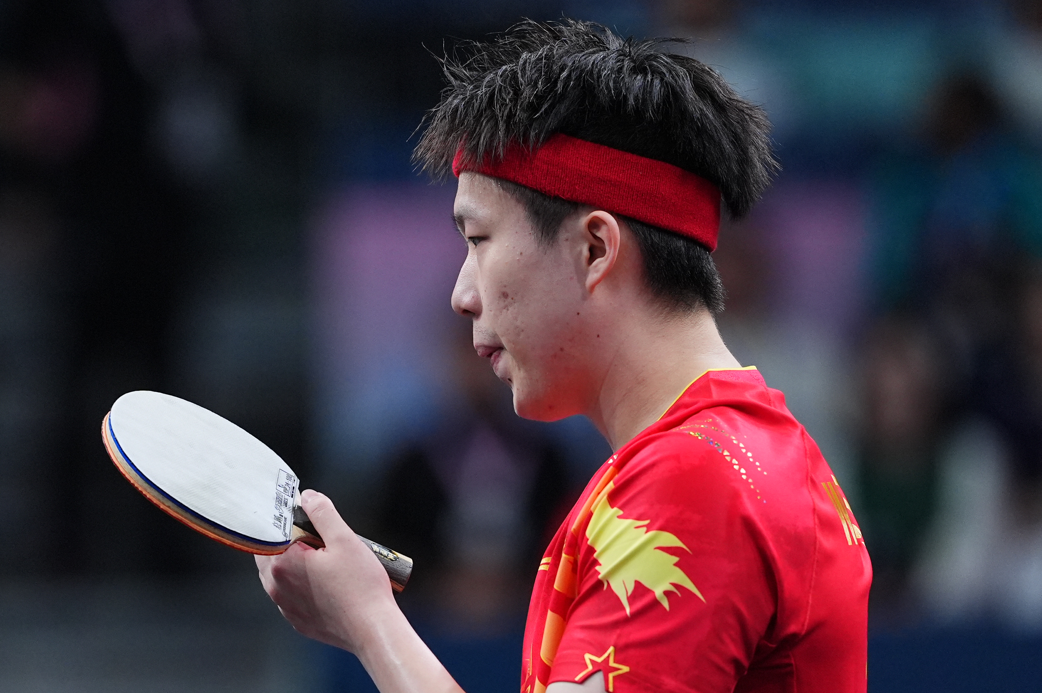 关于奥地利乒乓球队完胜日本乒乓球队，水谷隼爆发神勇的信息