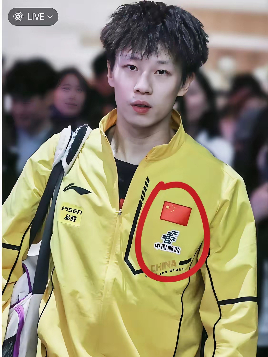 瑞典队绝杀法国队,林高远关键制胜的简单介绍 瑞典队绝杀法国队,林高远关键制胜的简单介绍