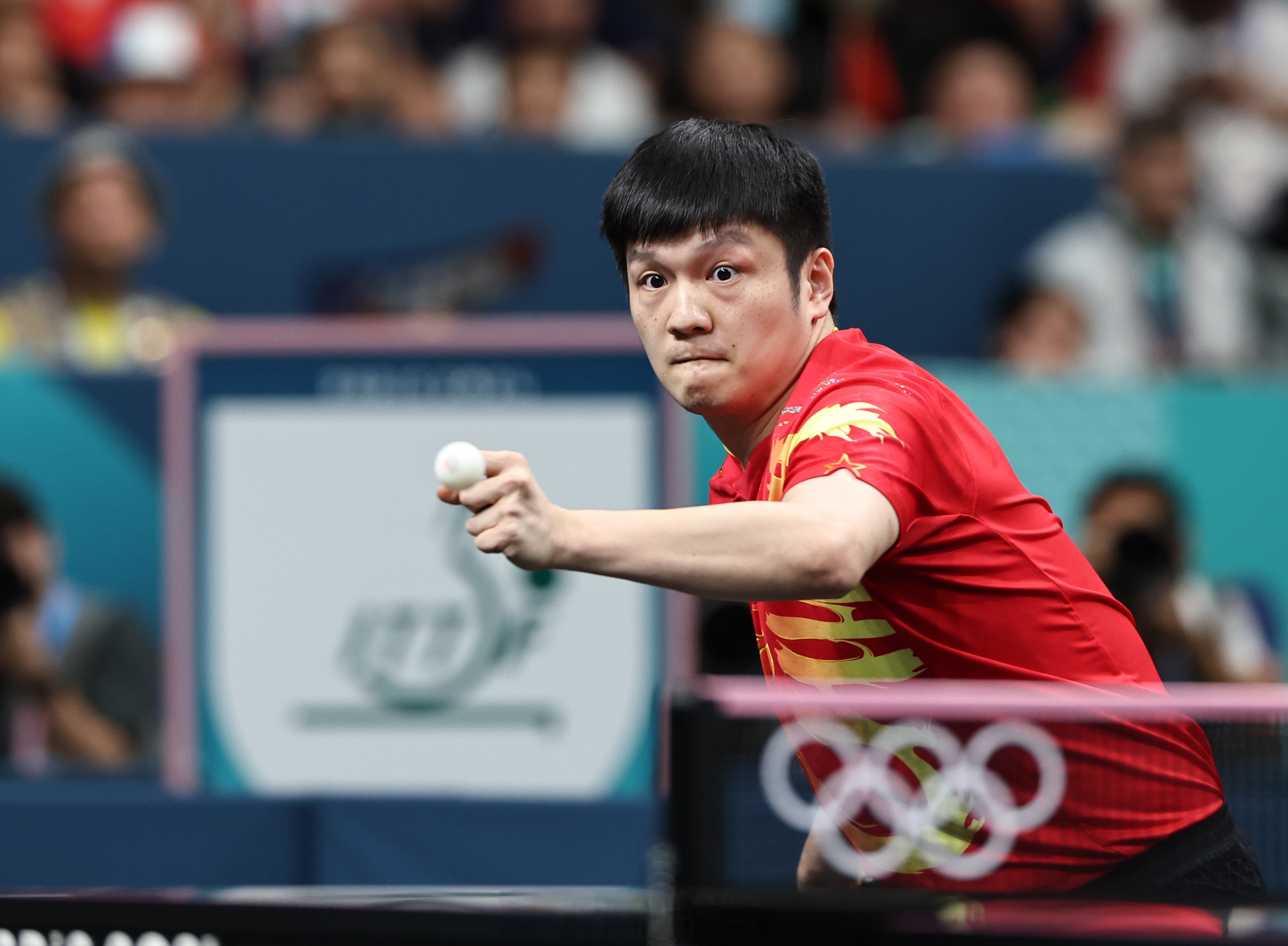 瑞典队碾压英格兰队,樊振东关键制胜的简单介绍 瑞典队碾压英格兰队,樊振东关键制胜的简单介绍