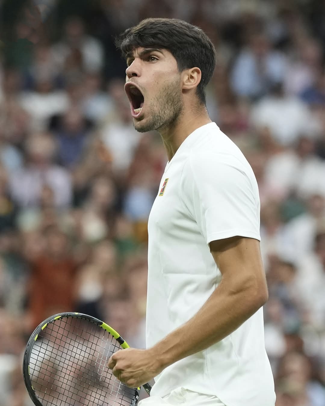 蒙特卡洛大师赛横扫联合杯，阿尔卡拉斯刷新纪录